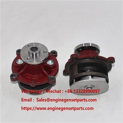 Bomba d'aigua del motor 21404502
