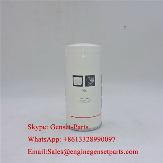 Filtre hidràulic 1613610590 per motor ATLAS COPCO XAS125 COMPRESSOR DEUTZ F4L913